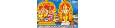 சங்கரன்கோயில் - தமிழ்நாடு